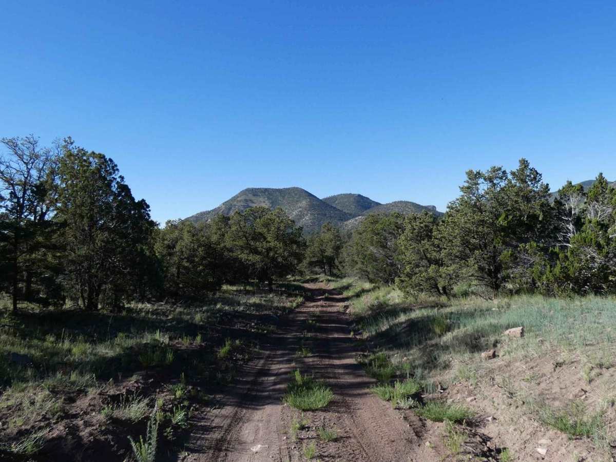 Crosby Canyon FS66 trail photo