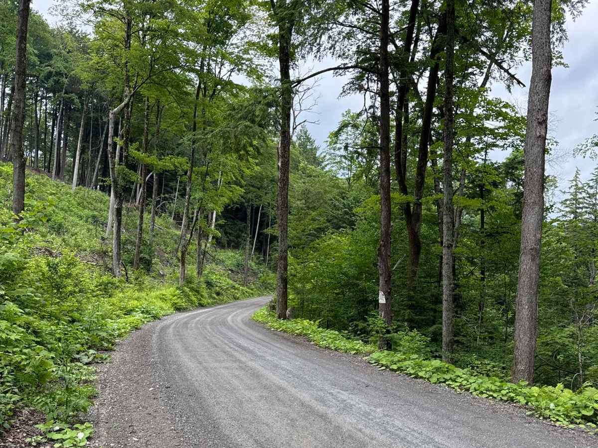 Hog Town Road photo 5