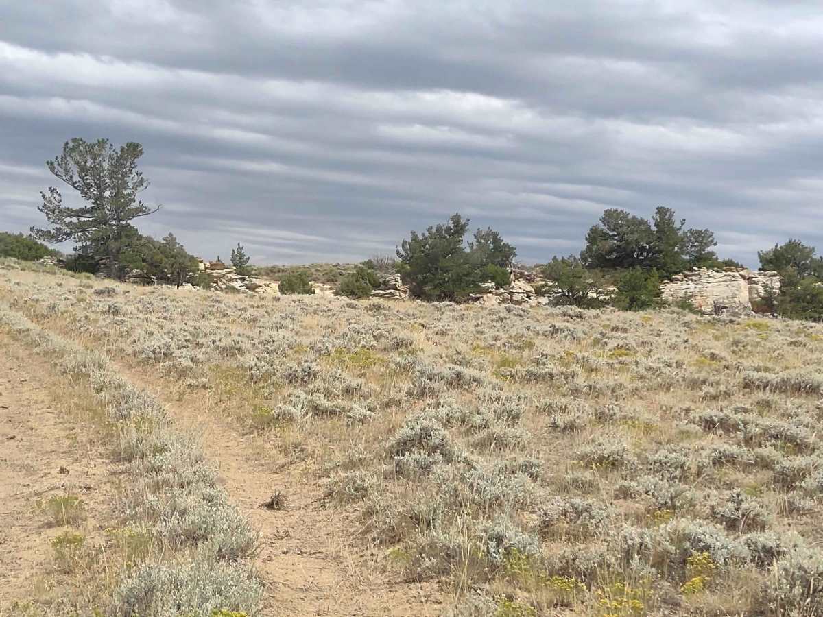 Ridge Runner Loop photo 5