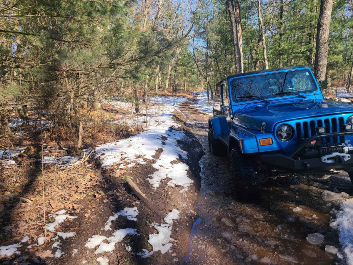 Forest Road 9100 photo 3