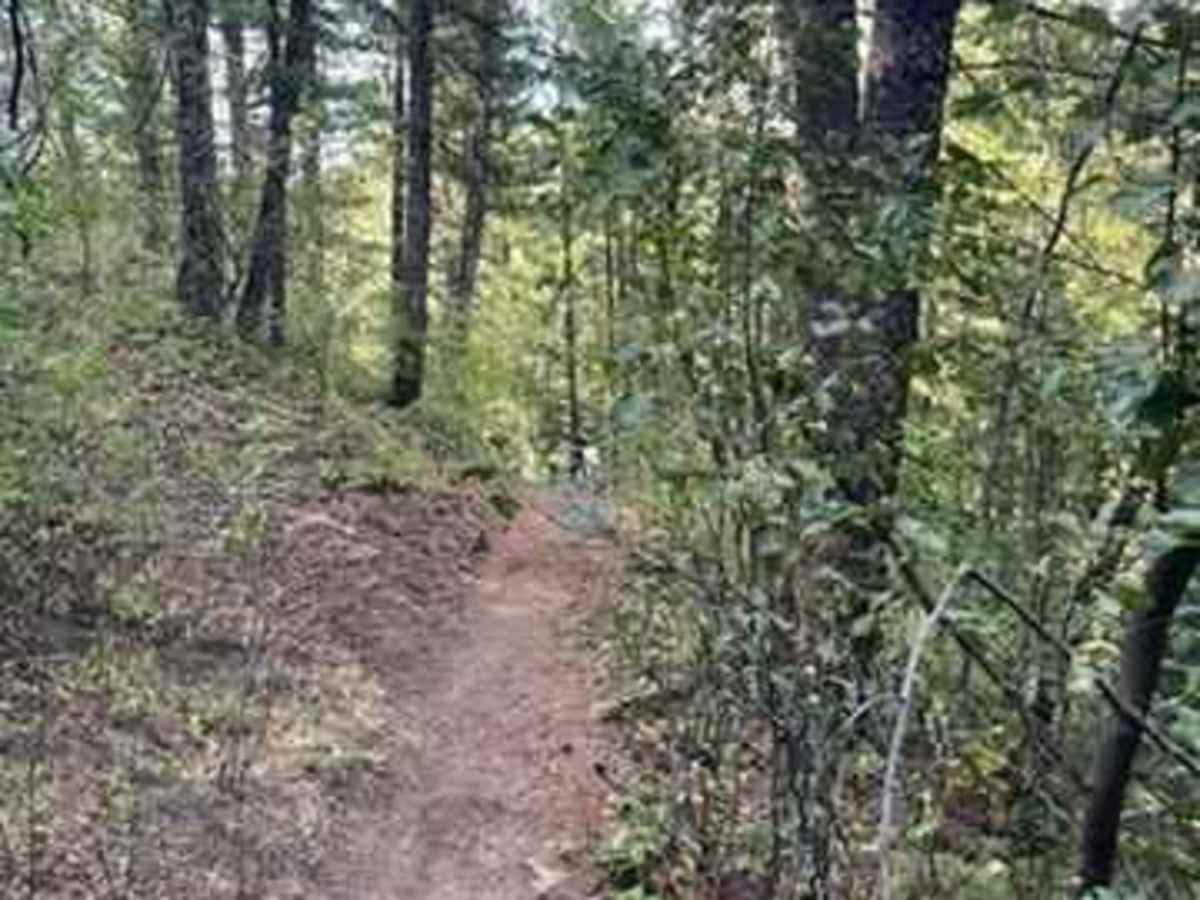 Crestline trail - Bell Marsh Creek photo 3