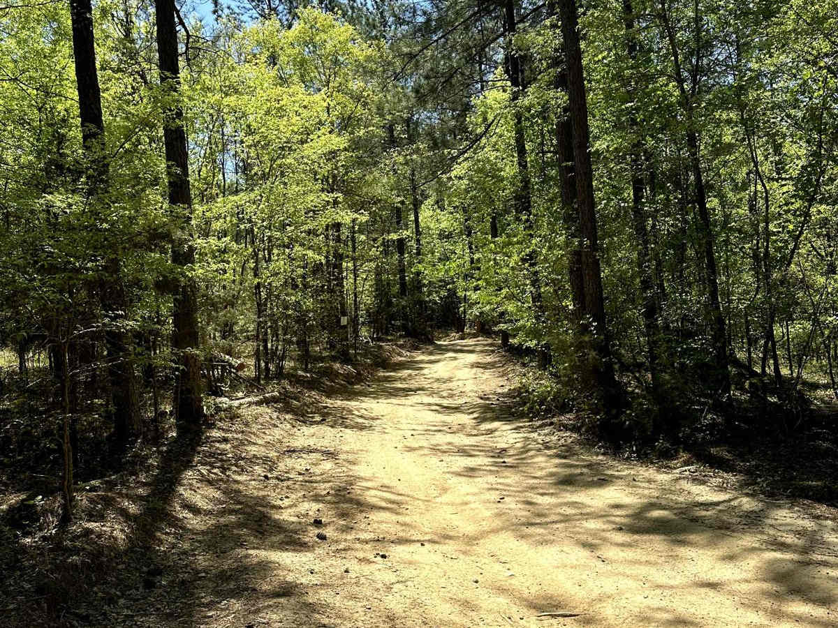 Trail 1 photo 6