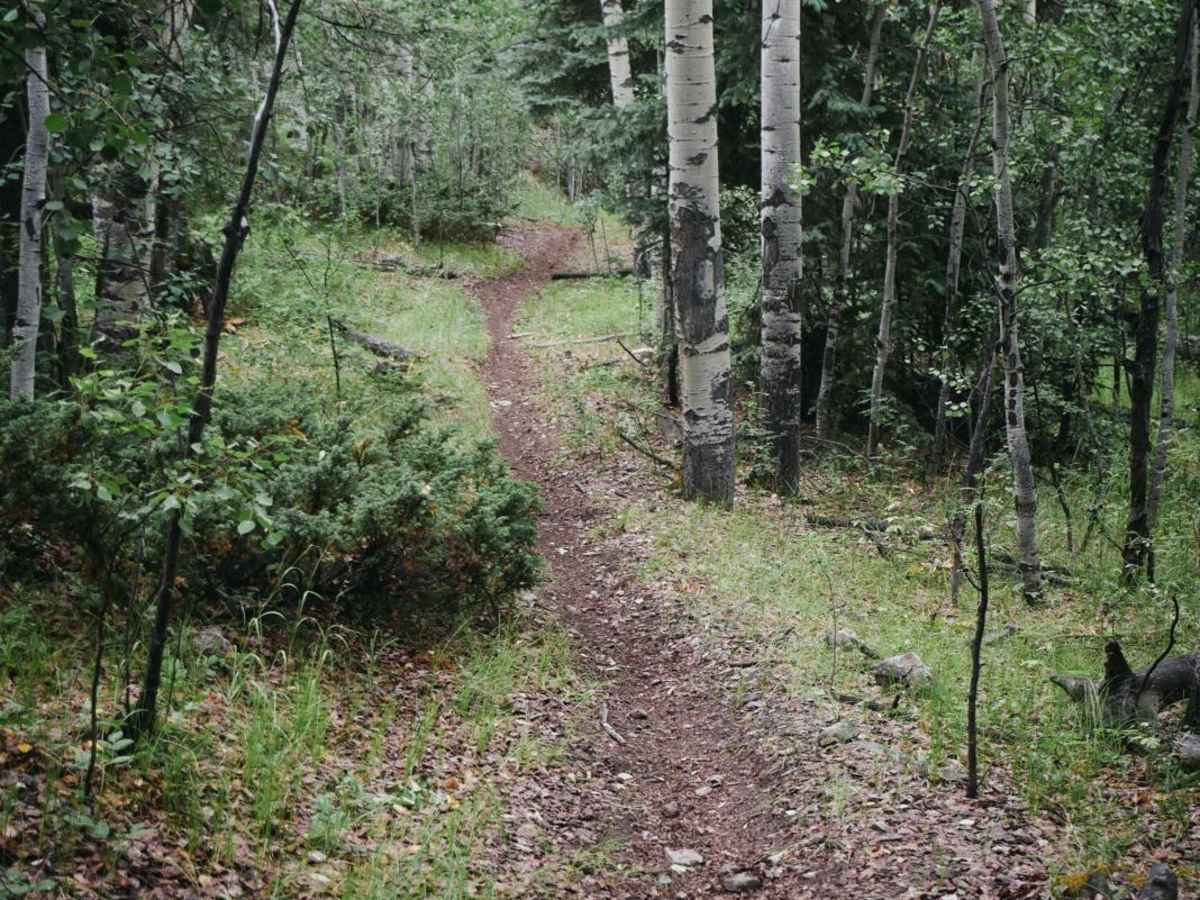 Silver Mountain Trail photo 4