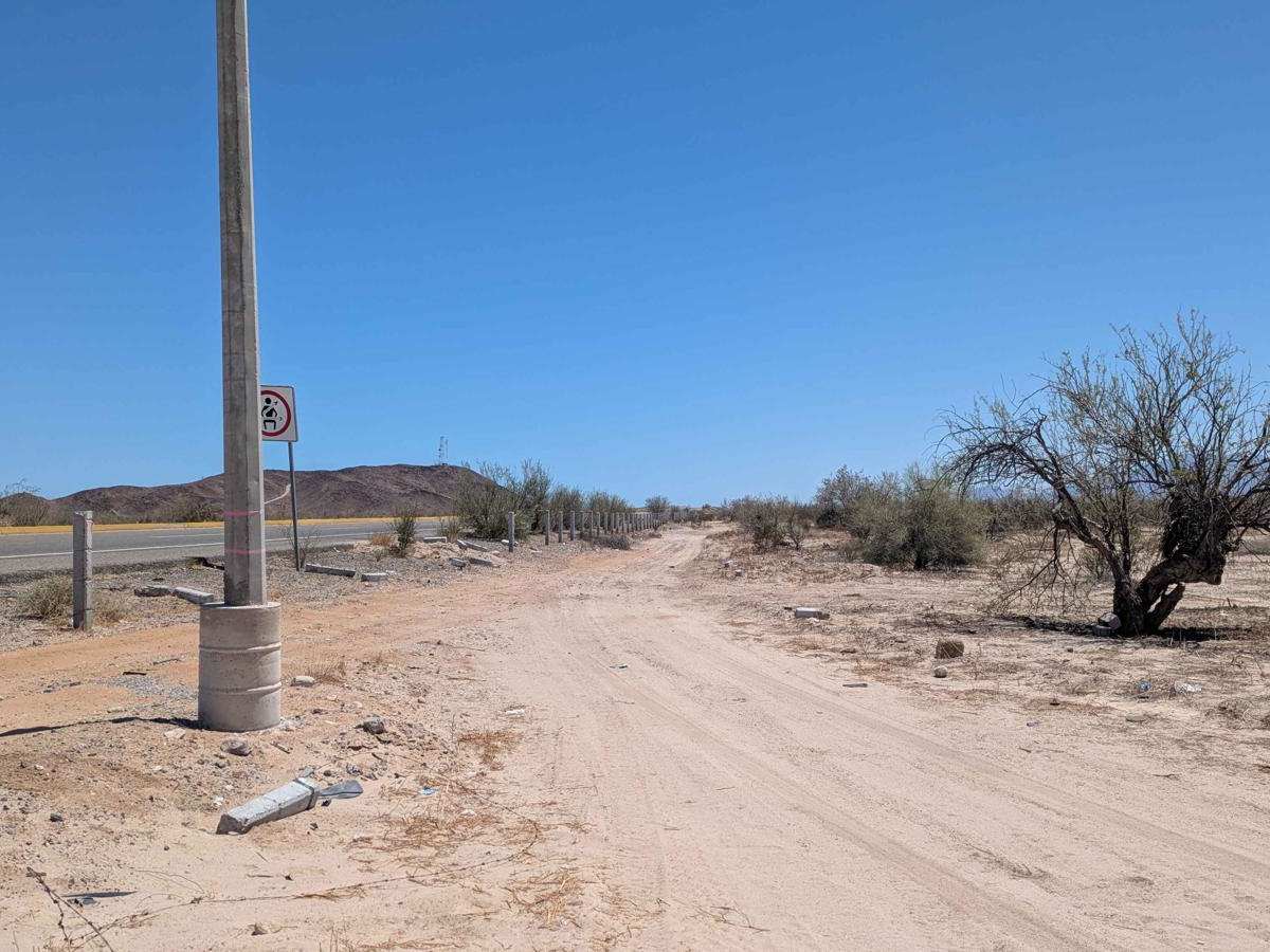 Afloramiento de Ocotillo photo 4