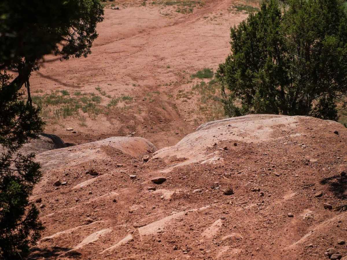 BLM 8625 photo 2