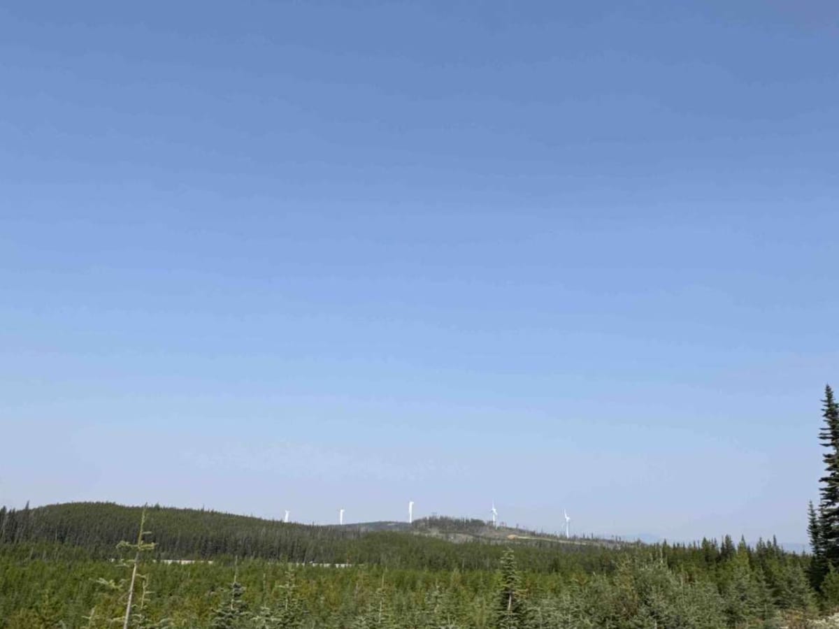 Bear Lake Main FSR photo 4
