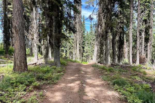 Wild Bill Truman Creek Trail