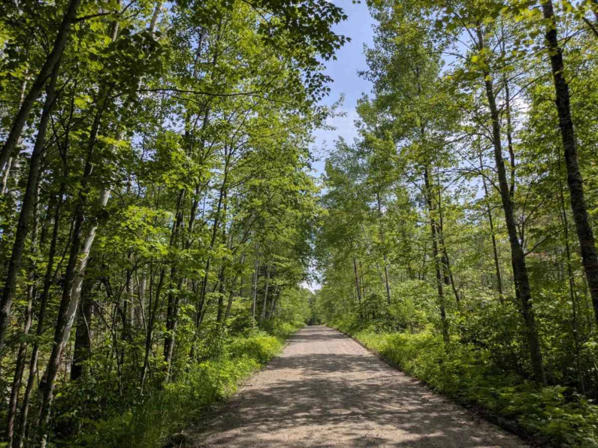 FS 3851 trail photo