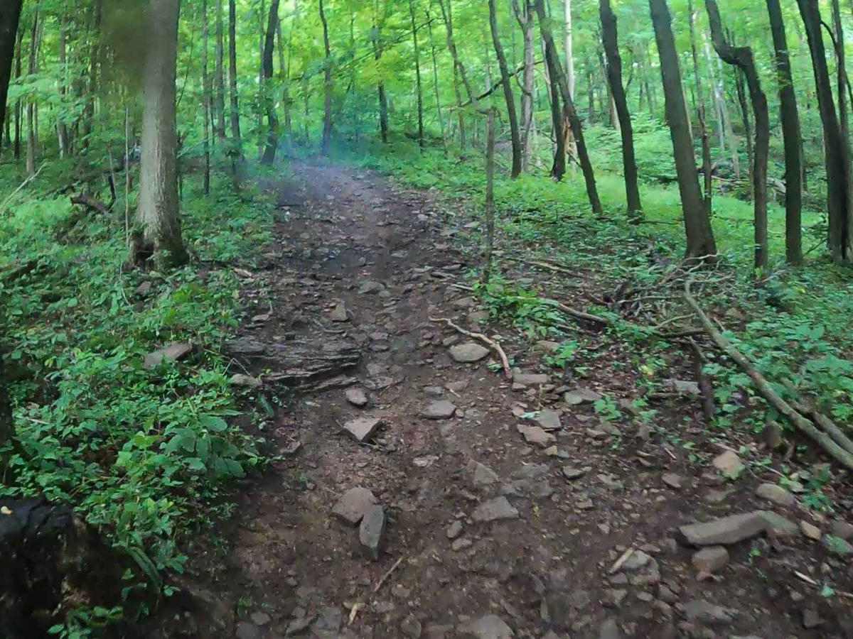 Mountain Ridge ATV Park Singletrack CD photo 2