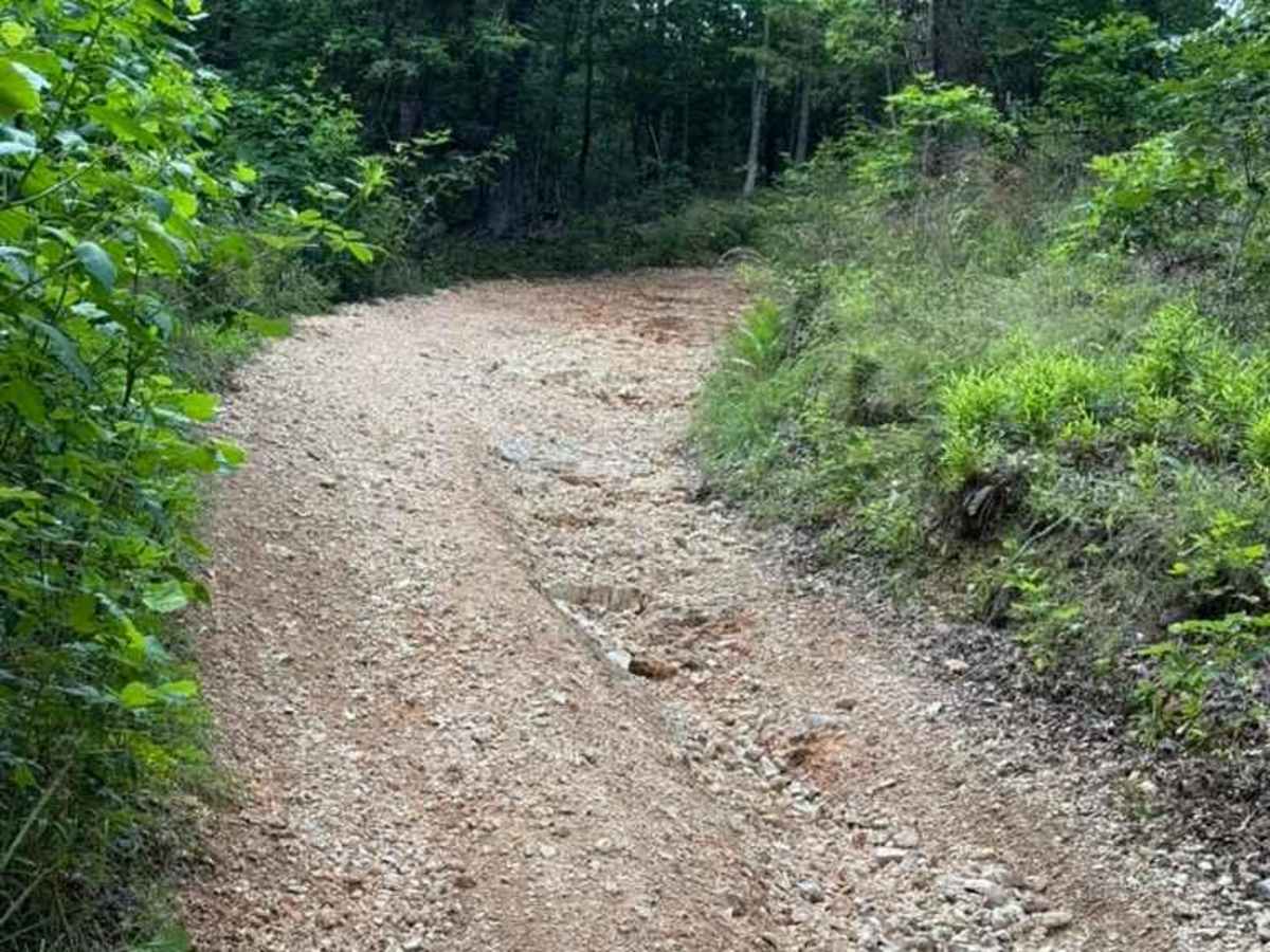 Sara's Trail photo 3