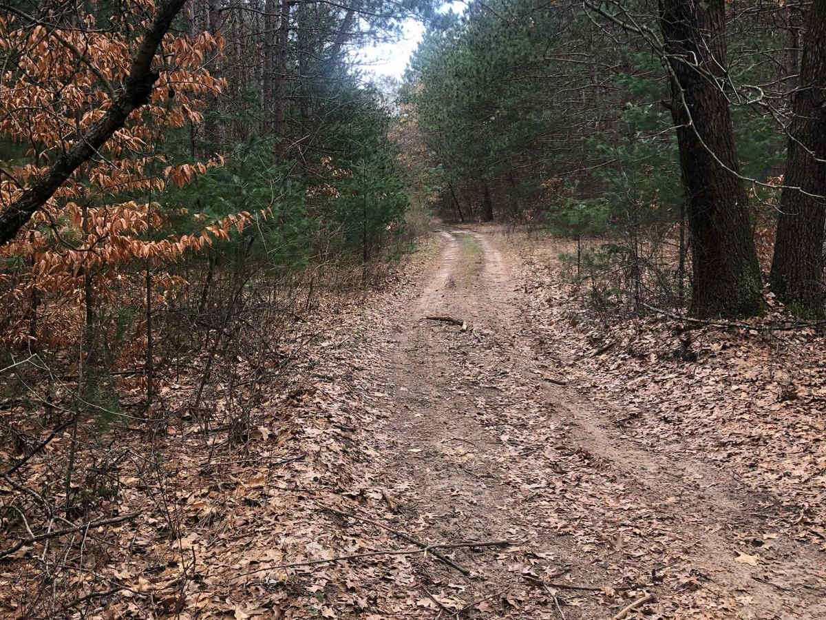 NFS Road 9884 photo 2