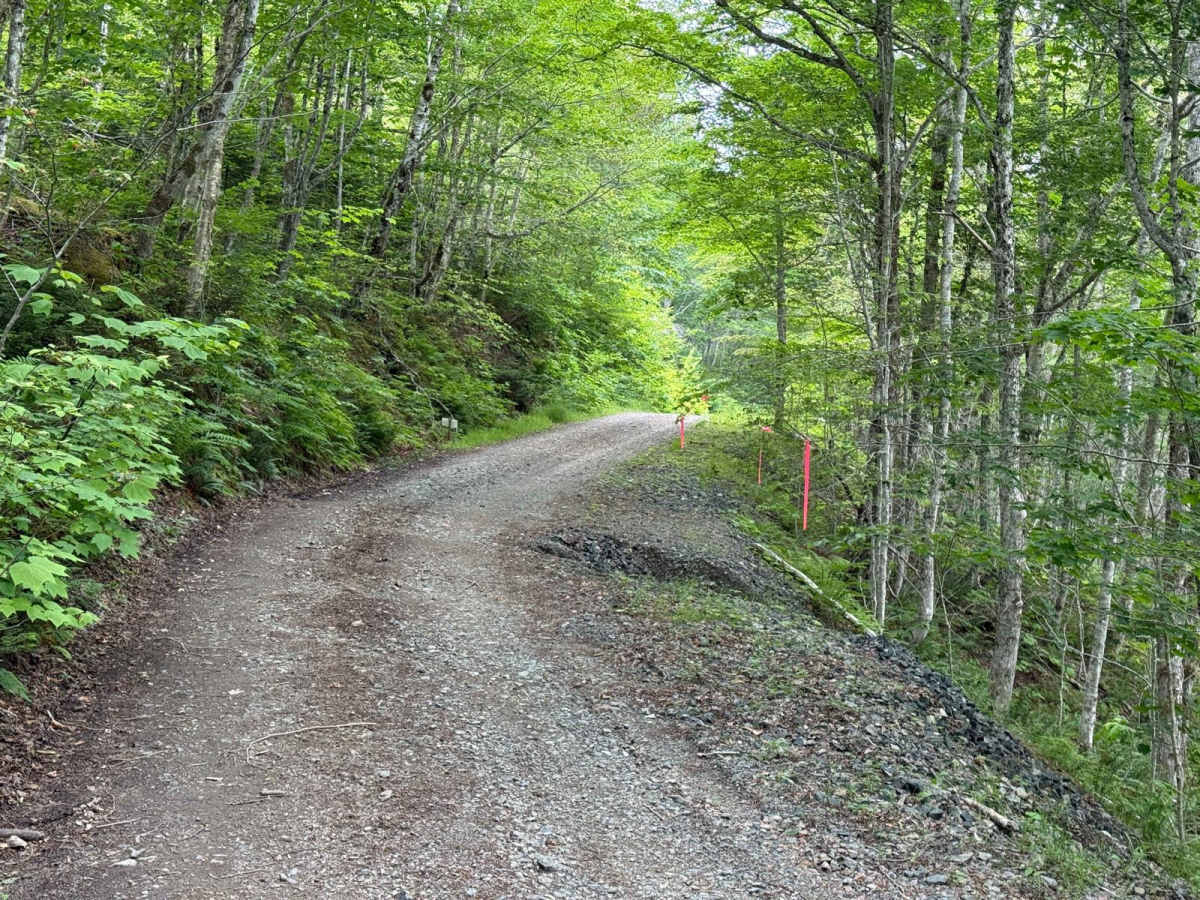 River Denys Mountain Road photo 4