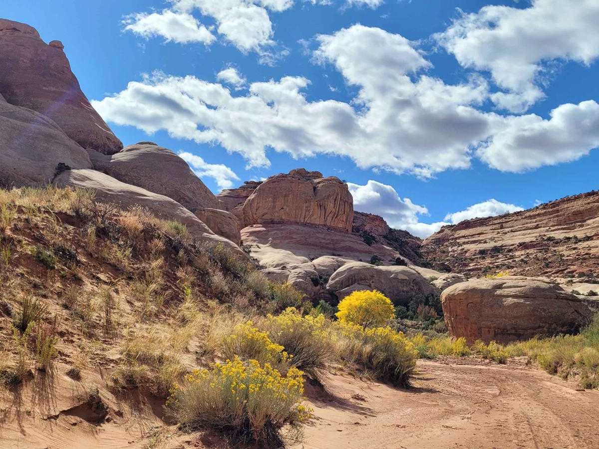 Lavender Canyon photo 2