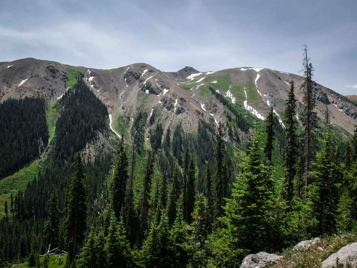 Taylor Divide photo 5