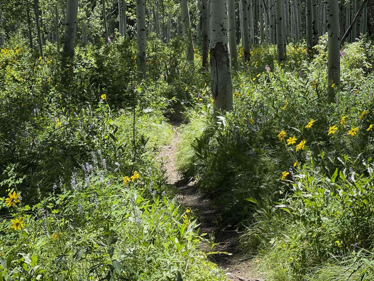 Tusky Ridge photo 6
