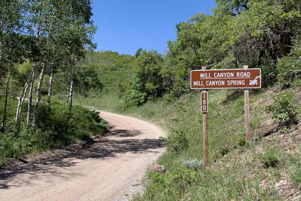 Mill Canyon Spring, 70180