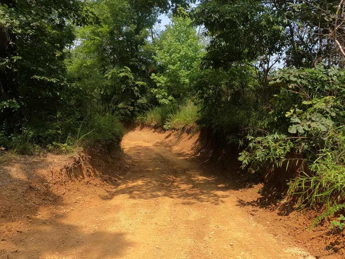 Silo Trail - 5 to B Road photo 3