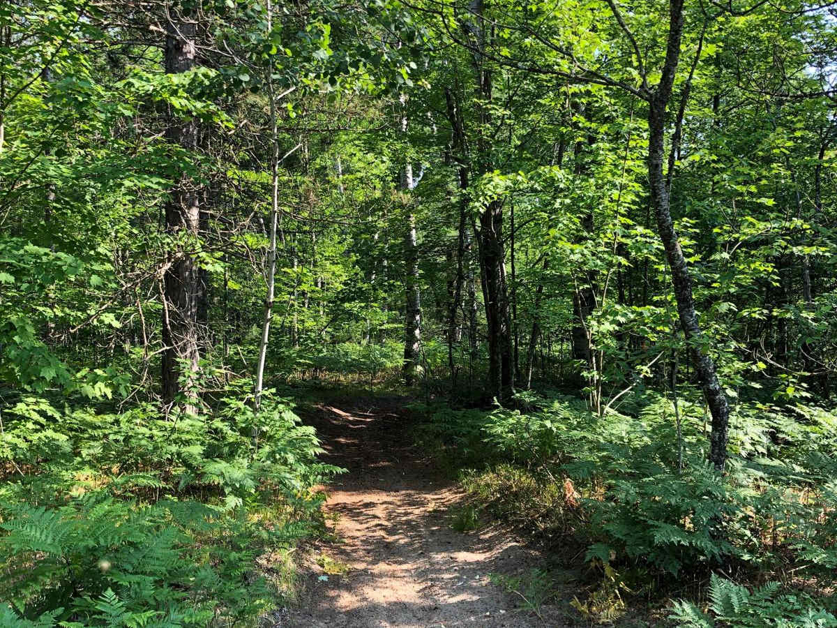 North Missaukee Trail - 14478 & 14167 photo 2