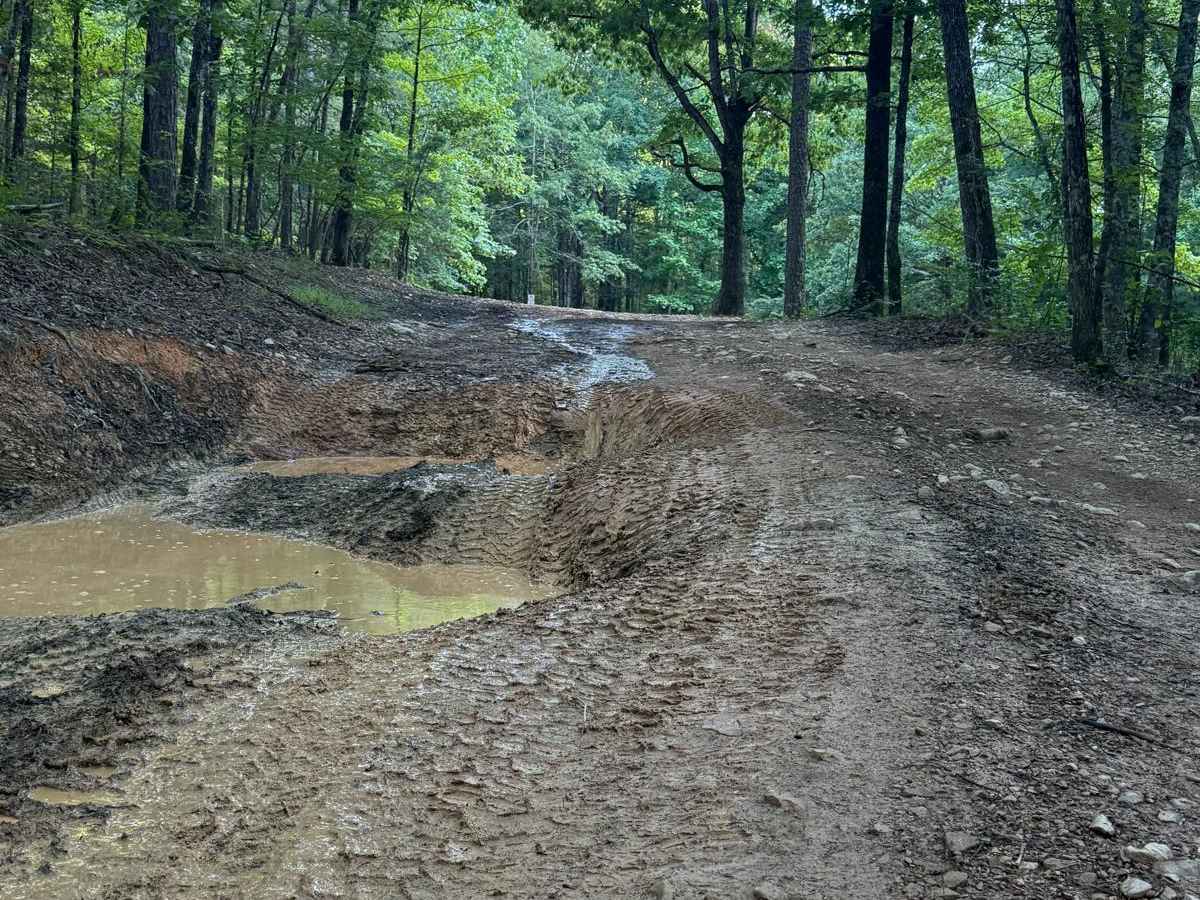 F2 Pond Road photo 3