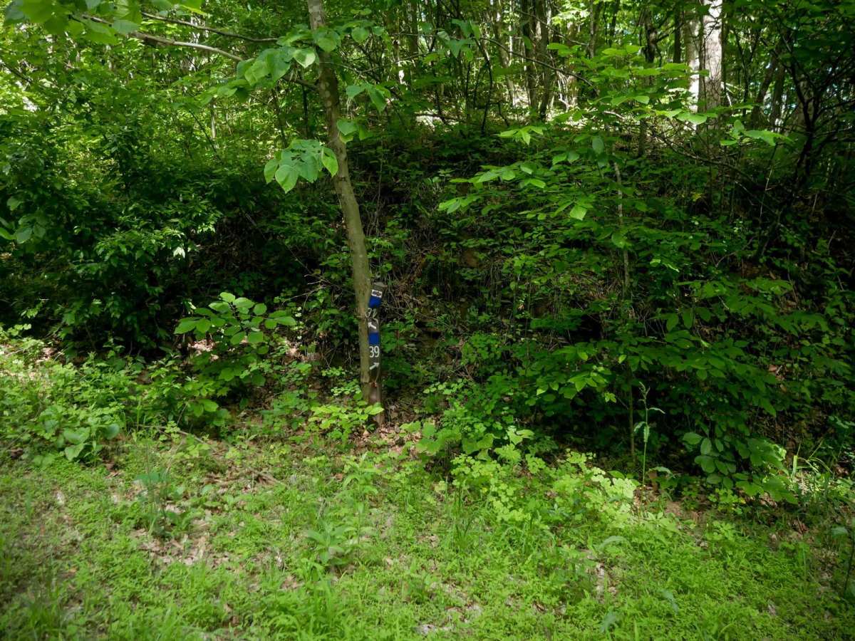 RV39 photo 2