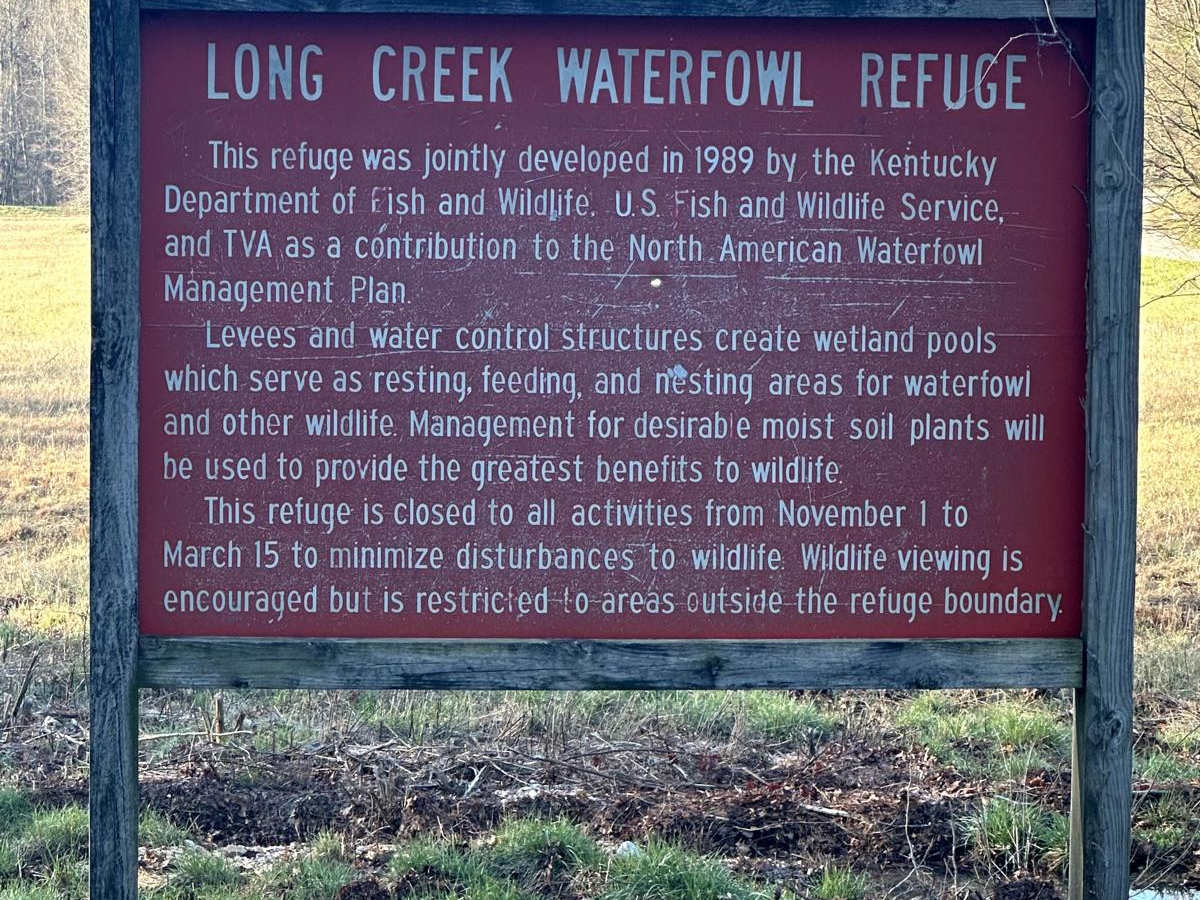Long Creek Road photo 6