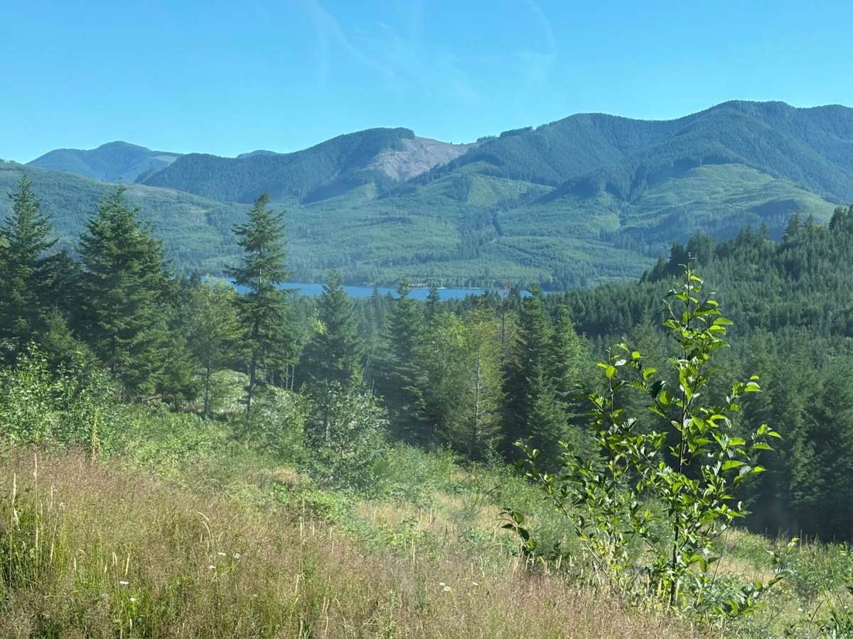 Sherk Lake photo 3