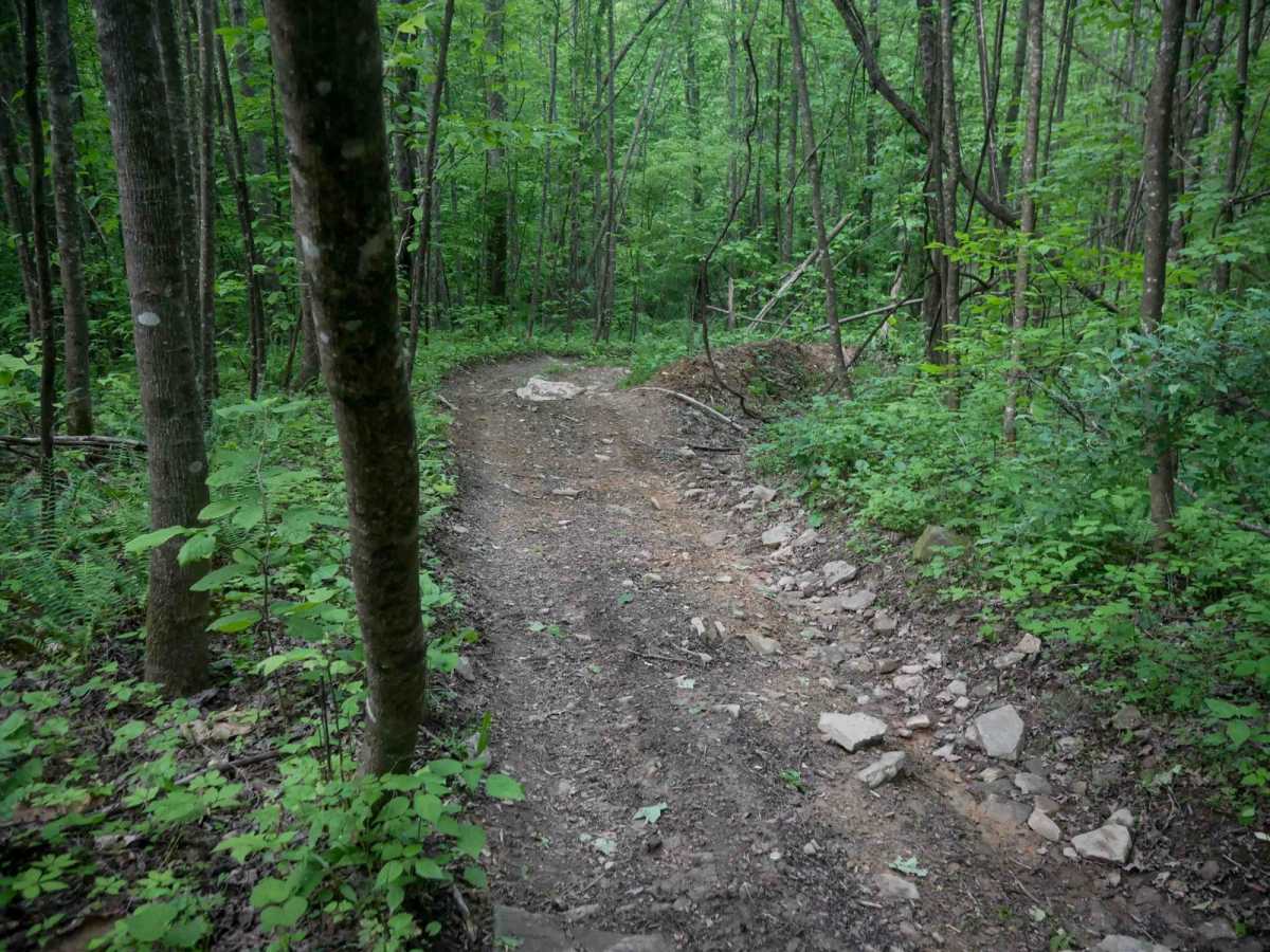 MV92 trail photo
