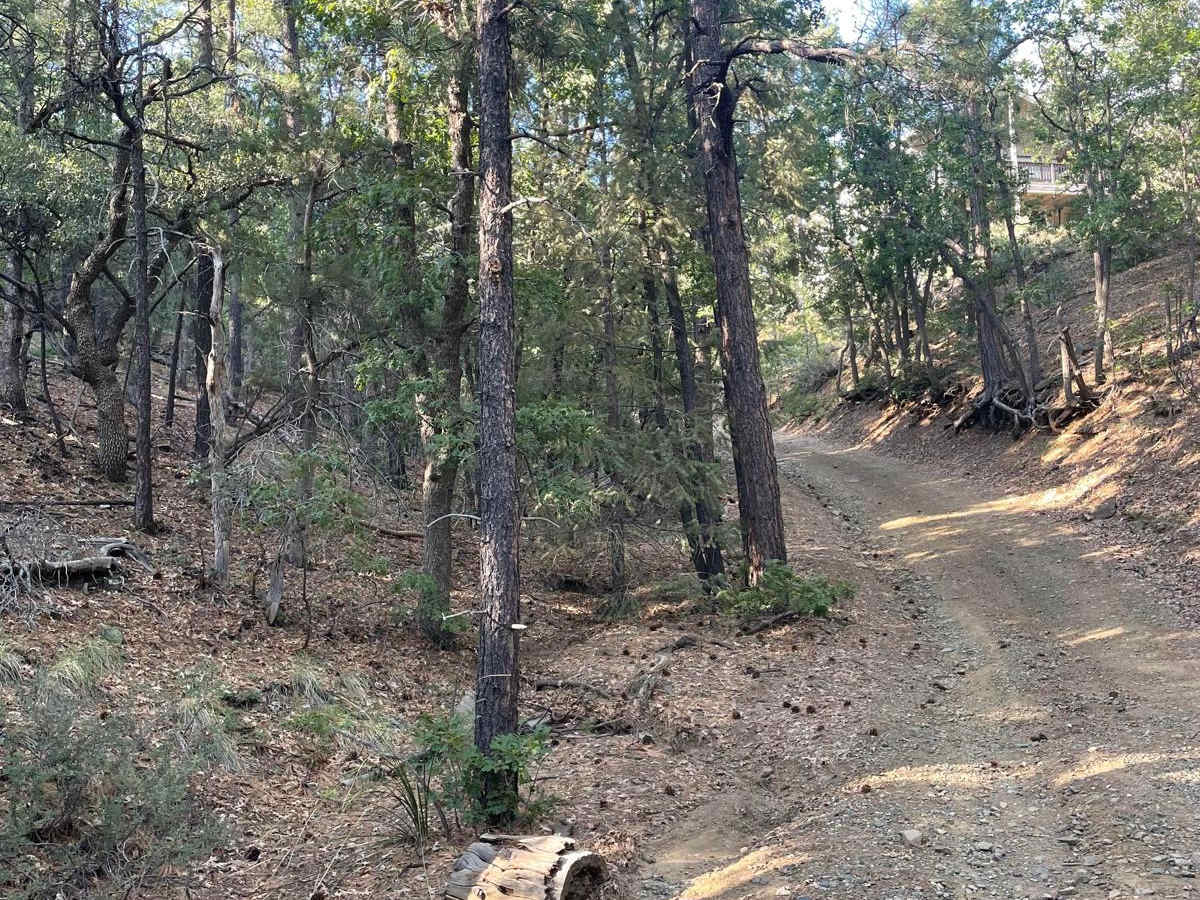 Exit Off Spruce Mountain Road photo 4
