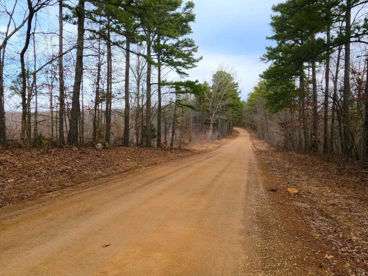 Colen Ridge Road photo 5