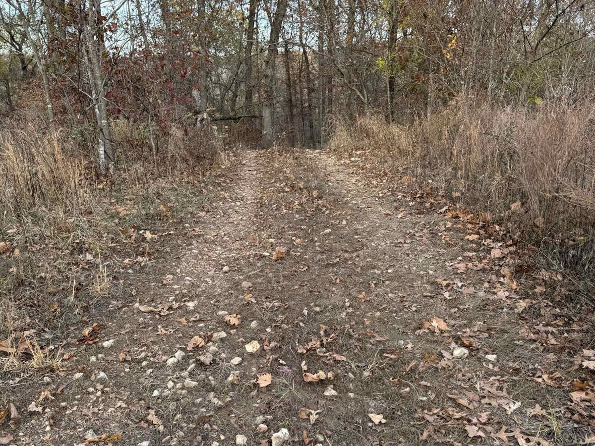 Yellow 179 trail photo