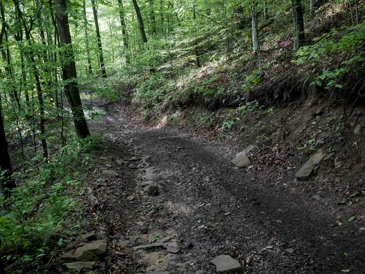 B93 trail photo