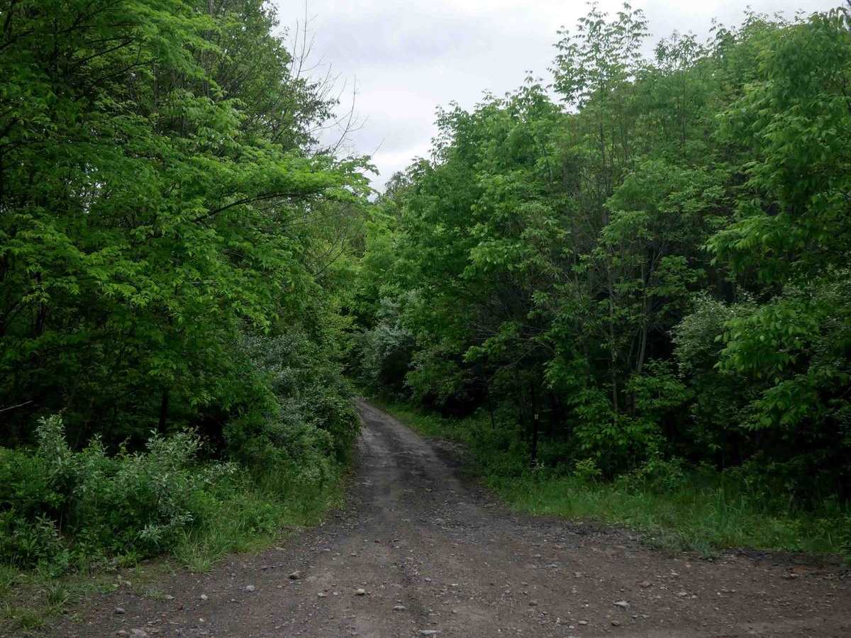 BM 28 photo 5
