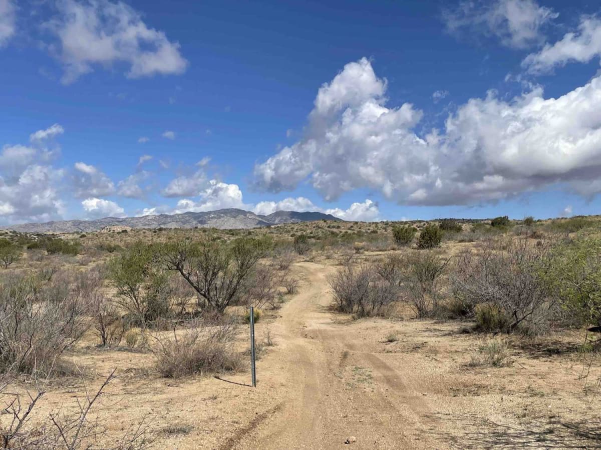 Park Tank Road #4424 photo 5