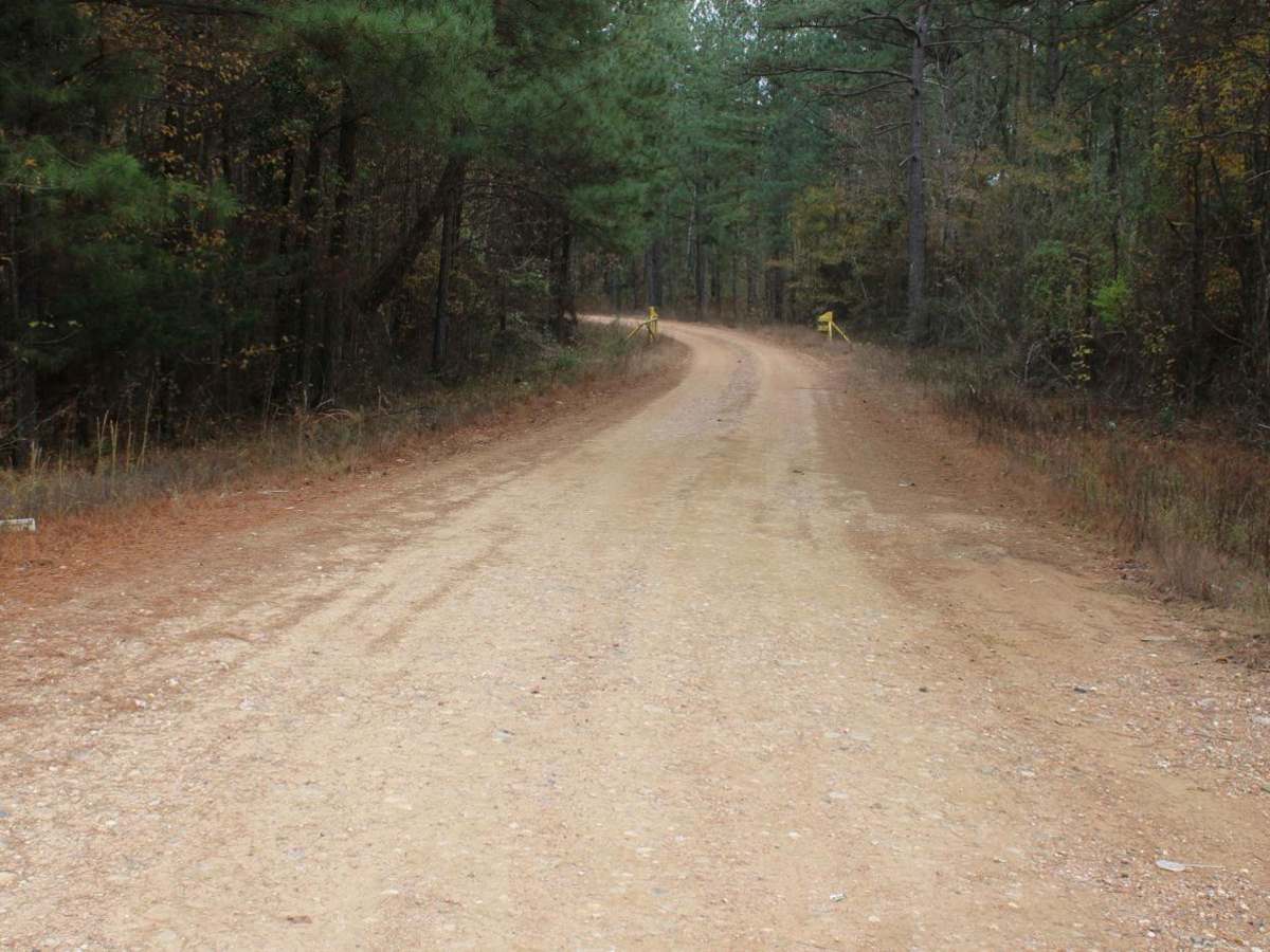 County Road 55 trail photo