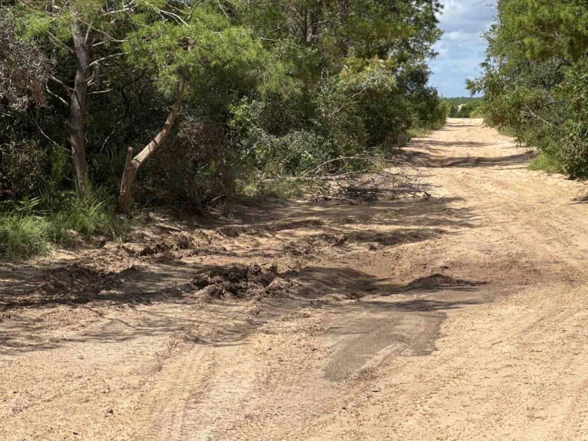 Lam Horse Trail - ONF 22-0.3A photo 3