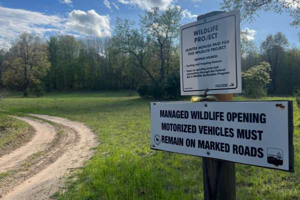 Wildlife Project Trail