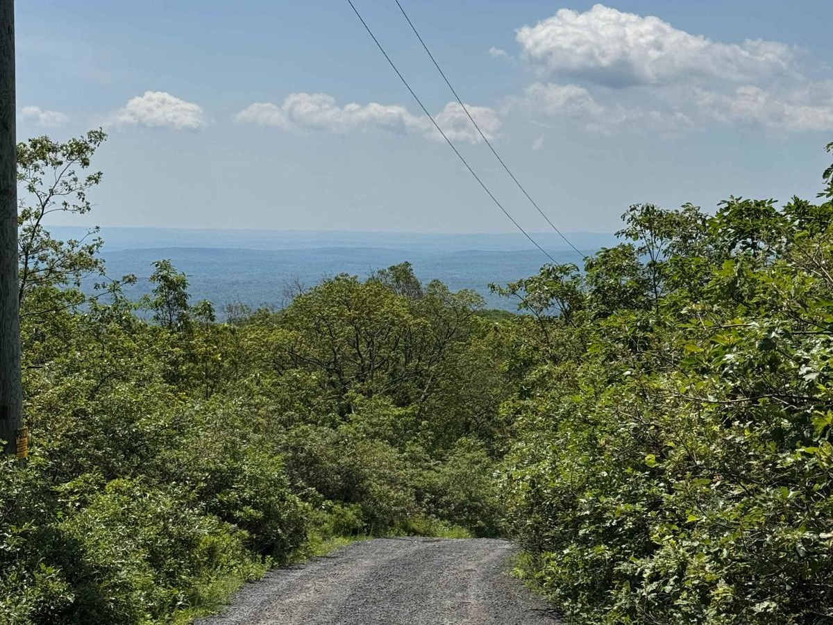 Fire Tower Road photo 6