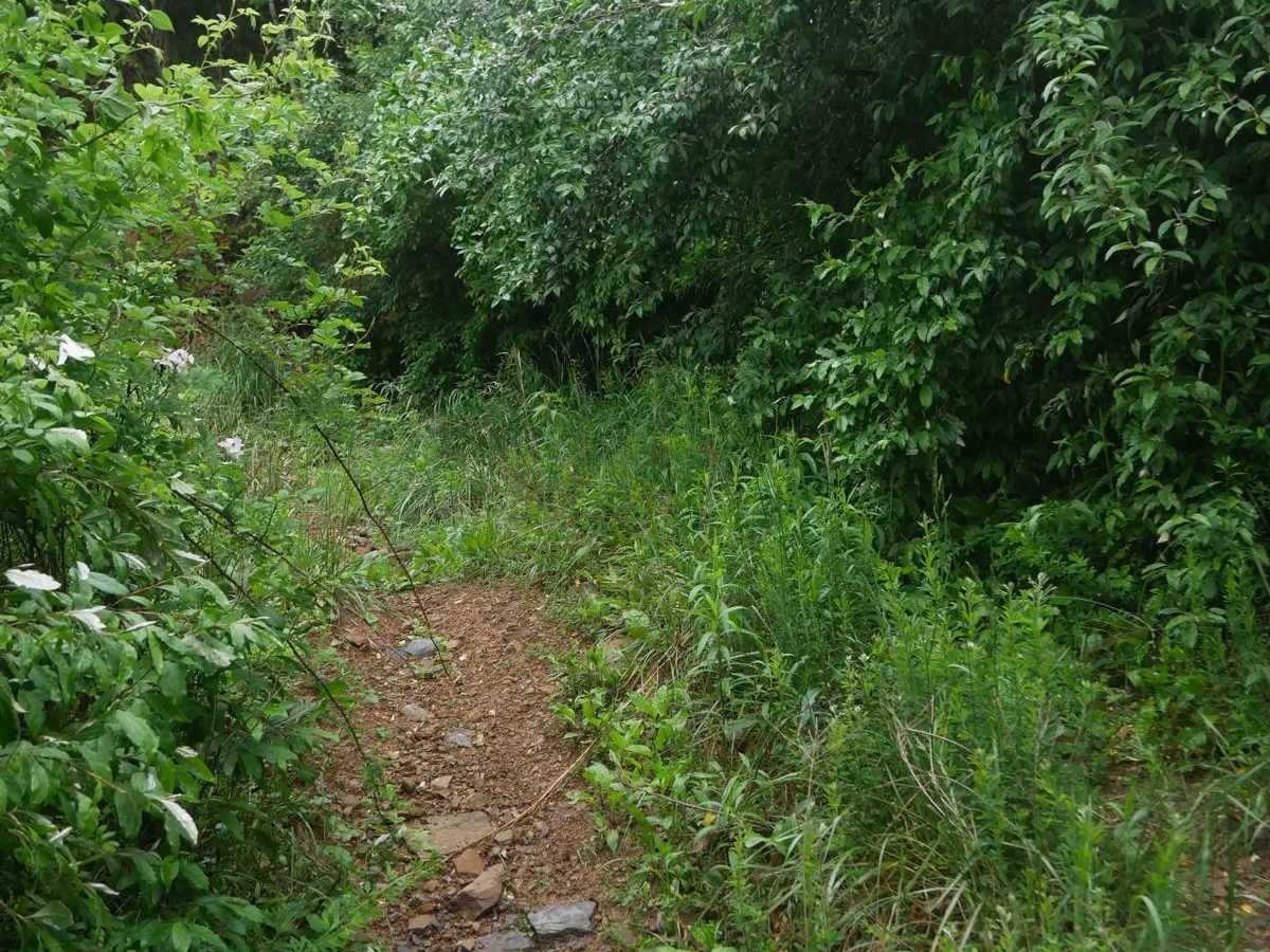 CC71 photo 6