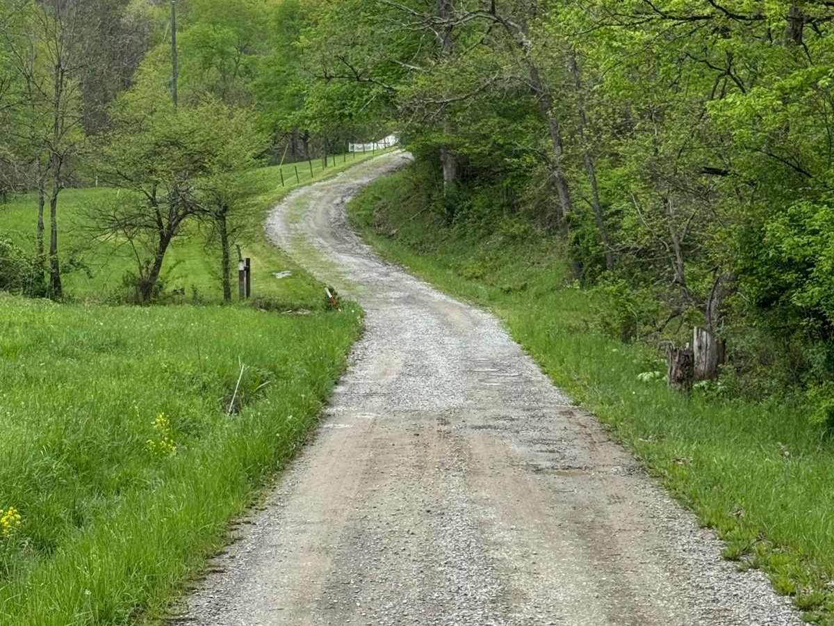Shaler Road photo 4