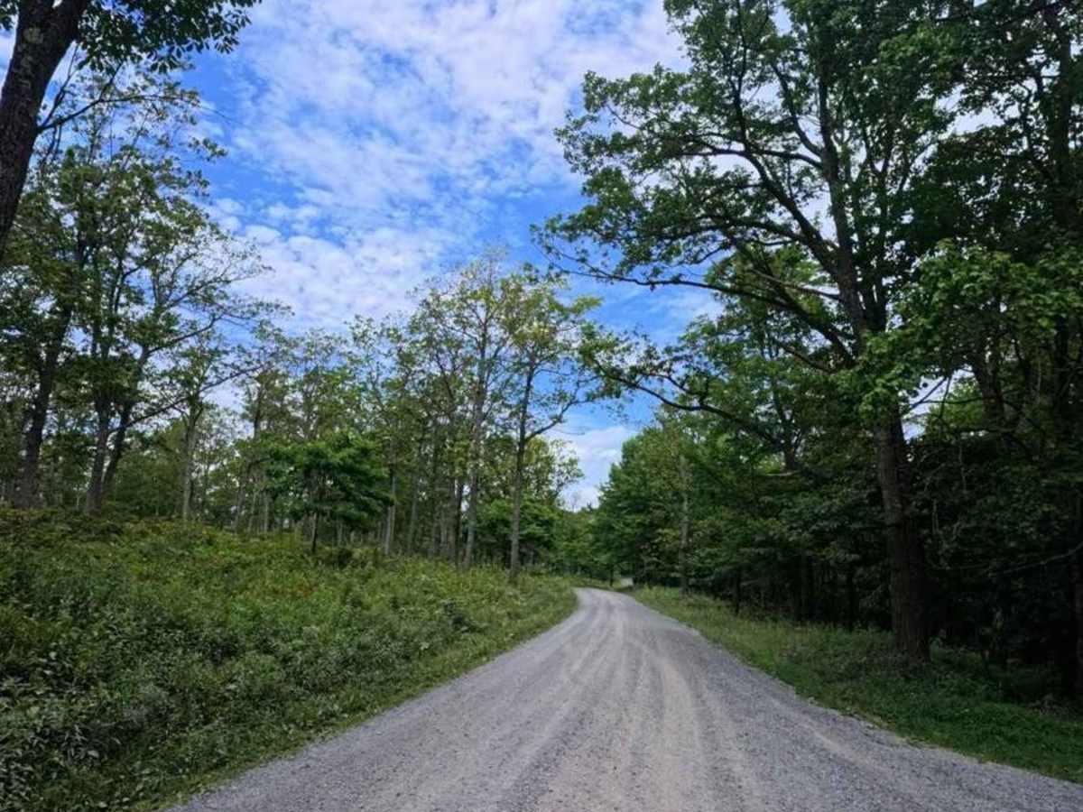 Huckleberry Road trail photo