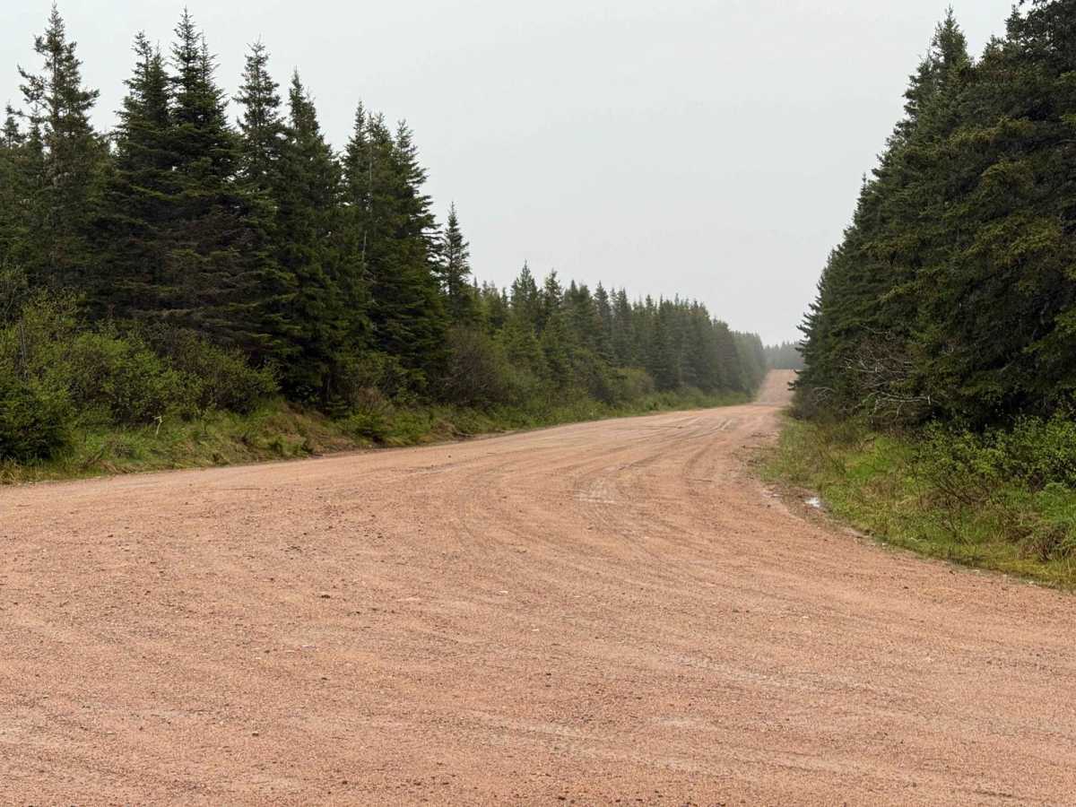 Kelly Road photo 2
