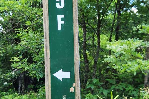 Trail 5F - Rock Run Recreation Area