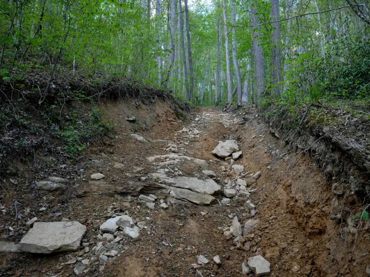 PC 94 trail photo