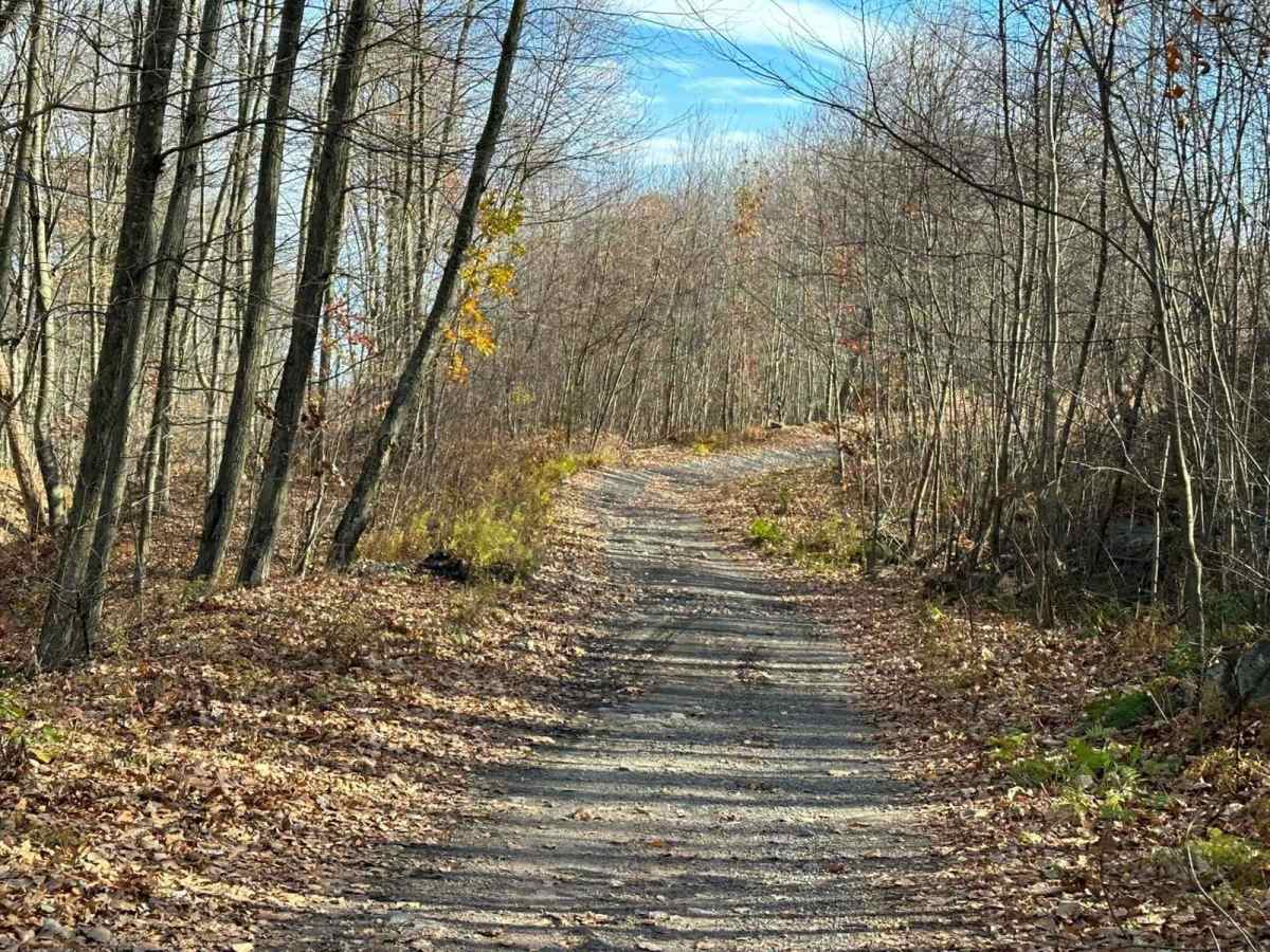 Ashland 153 photo 4