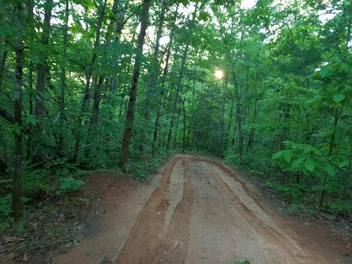 The Ridge trail photo