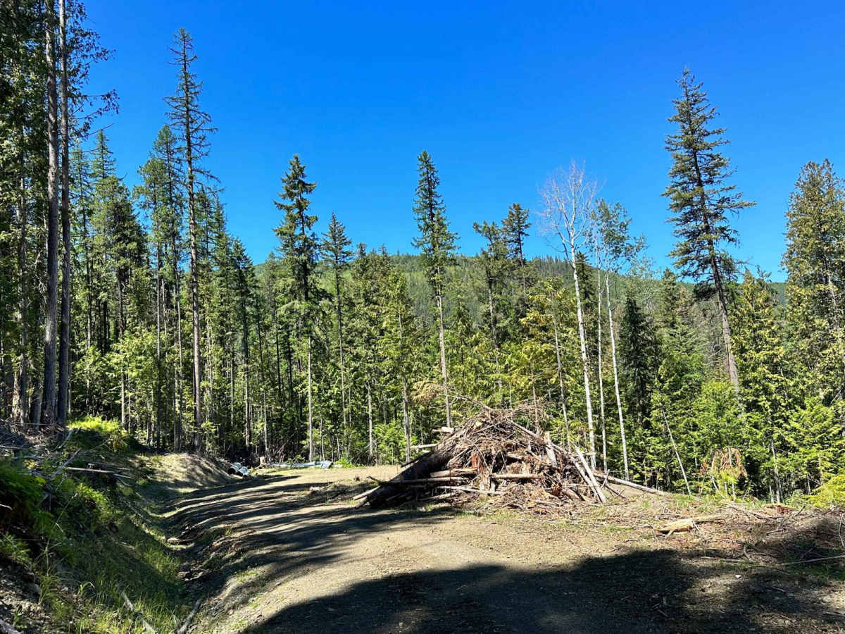 Crater Creek Road photo 5