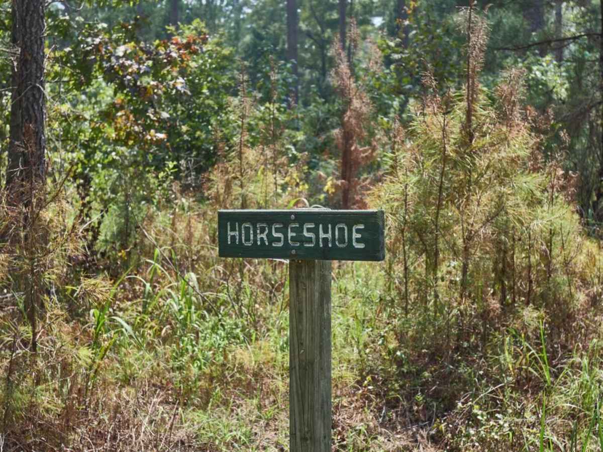 Horseshoe Loop trail photo