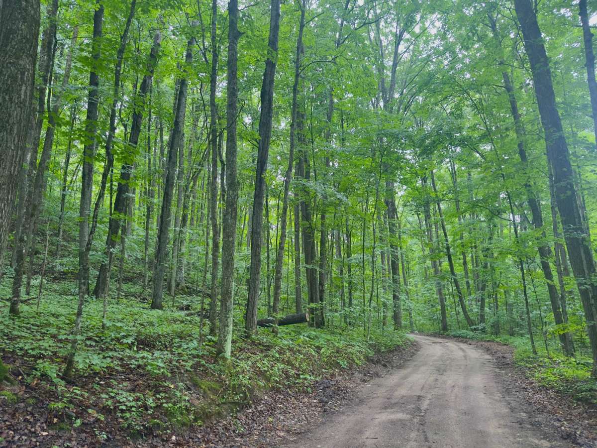 Pinney Bridge Road photo 4