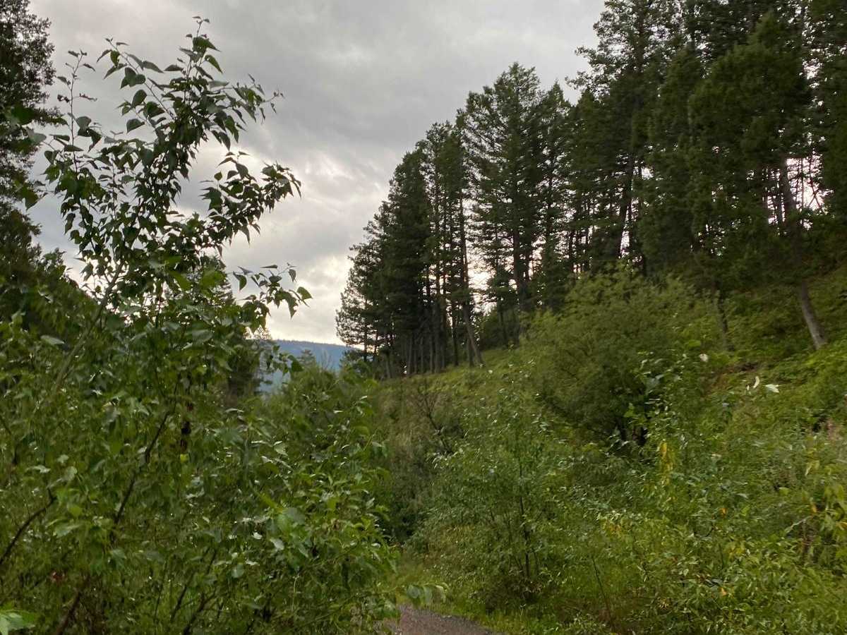 Cliff Creek Trail trail photo