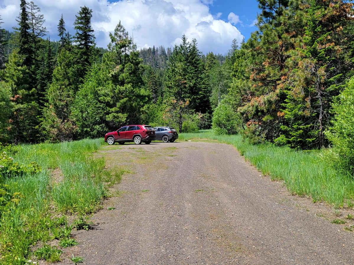 NF 700 - Libby Lake Trailhead photo 4